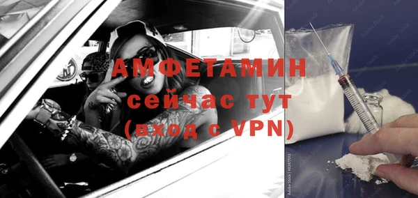 шишки Балахна
