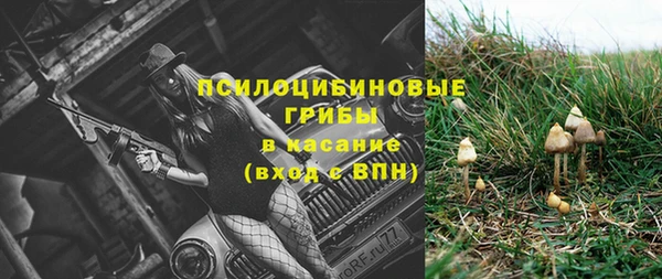 шишки Балахна