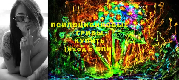 шишки Балахна