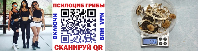 гидра ТОР  Верхнеуральск  Псилоцибиновые грибы MAGIC MUSHROOMS  цены  